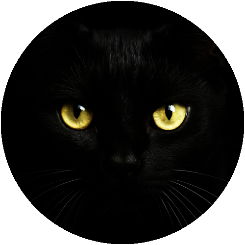 Cat's Eye Baby